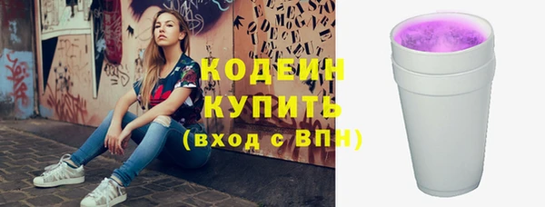 прущие грибы Новый Уренгой
