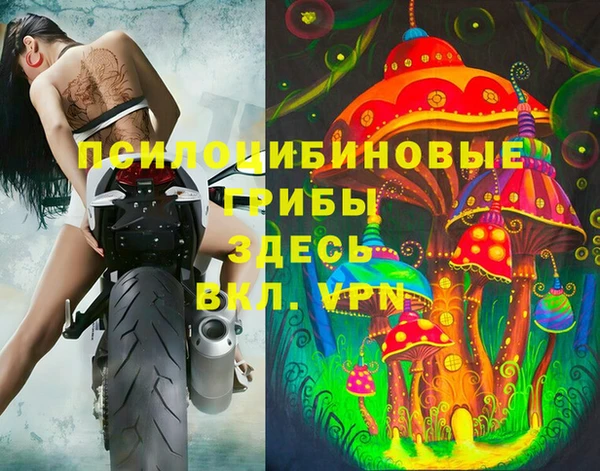 крисы Медногорск