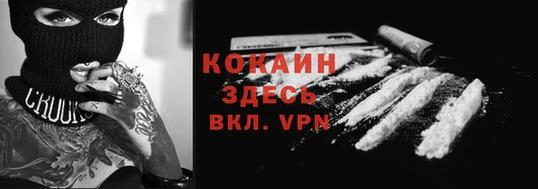 прущие крисы Медвежьегорск