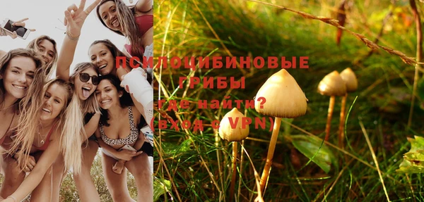 прущие крисы Медвежьегорск