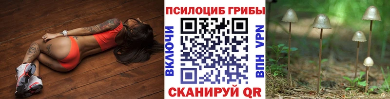 blacksprut онион  цены наркотик  Шенкурск  Псилоцибиновые грибы прущие грибы 
